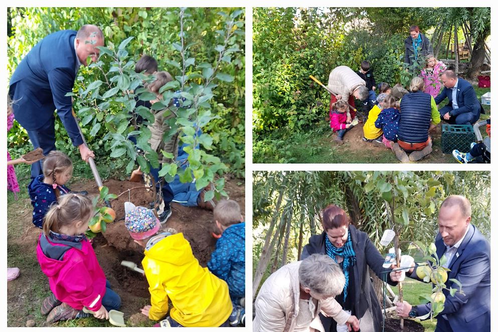 Collage aus 4 Bildern von der Baumpflanz-Aktion des Reinheimer Bündnis für Familie