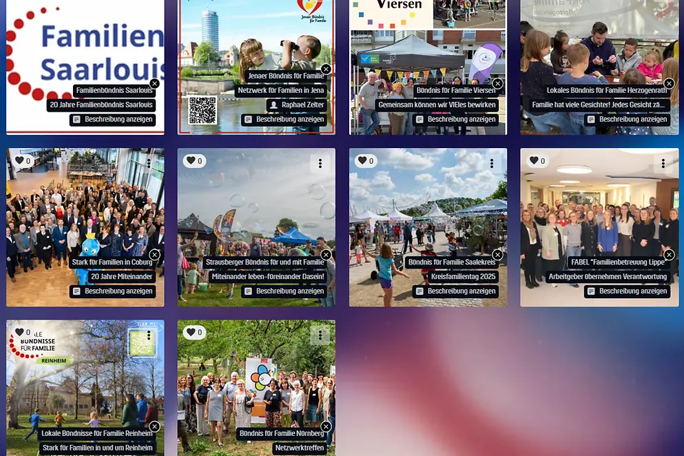 Vorschaubilder der teilnehmenden Bündnisse.